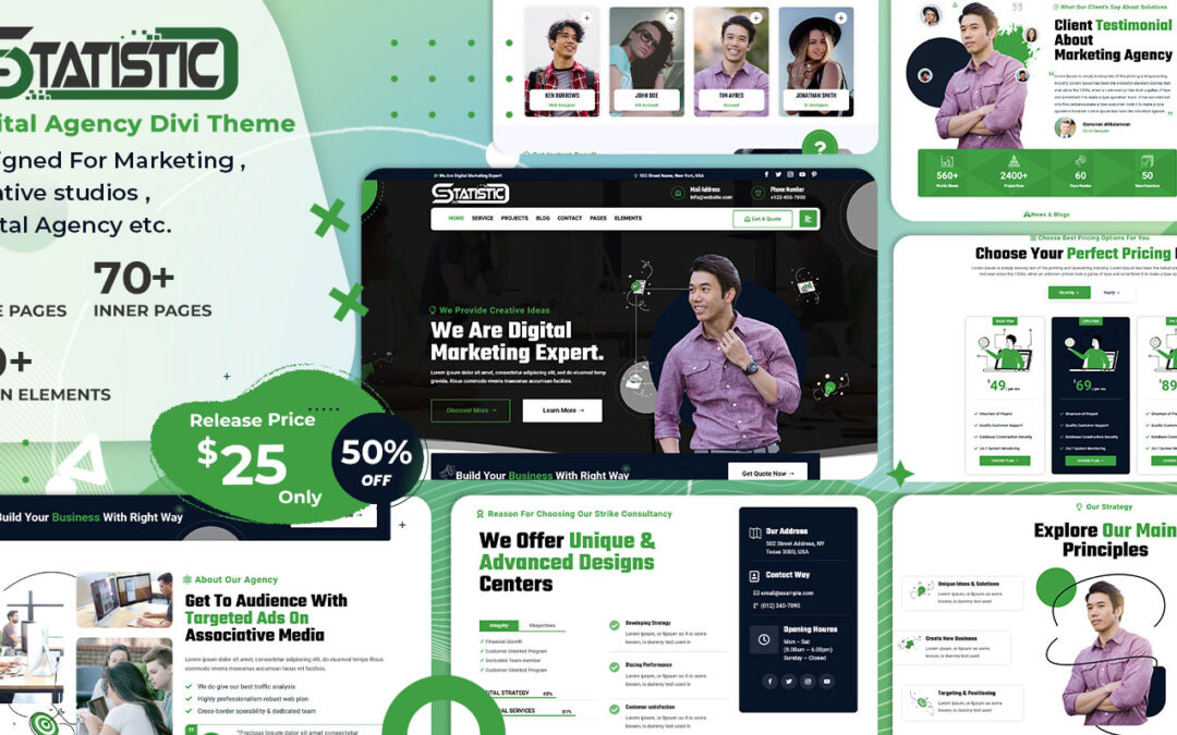 Introducing the Marvelous Statistic Divi Digital Agency Theme